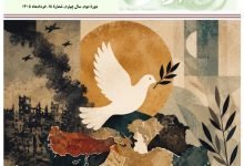 Ay-15-cover